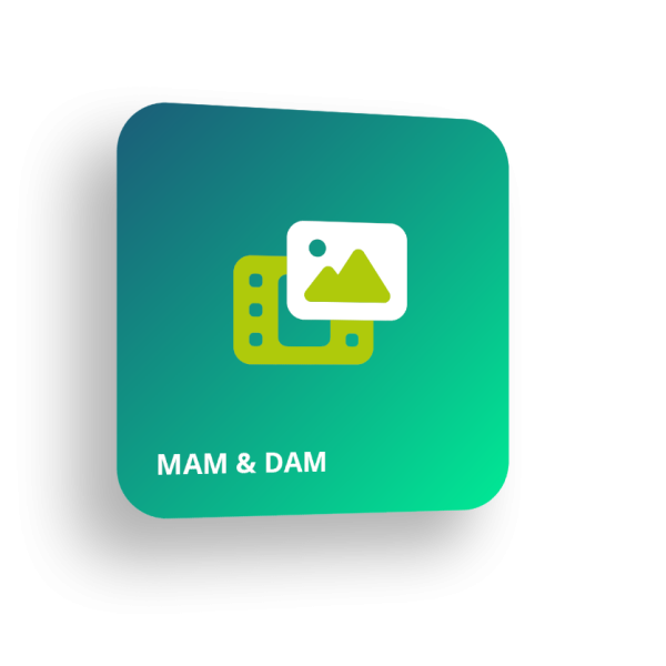 teaser mamdam 3d